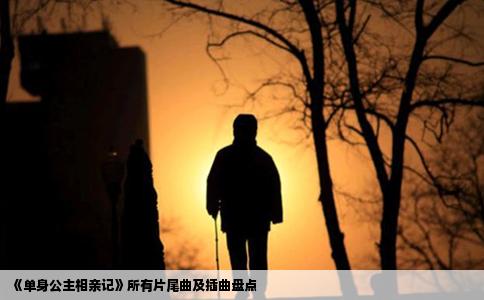 《單身公主相親記》所有片尾曲及插曲盤點(diǎn)