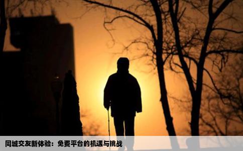 同城交友新體驗：免費平臺的機(jī)遇與挑戰(zhàn)