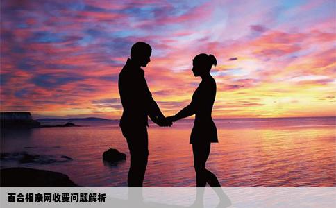 百合相親網(wǎng)收費(fèi)問(wèn)題解析