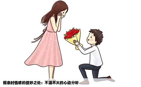 相親時(shí)情感的微妙之處：不溫不火的心動(dòng)分析