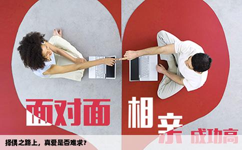 擇偶之路上，真愛是否難求？