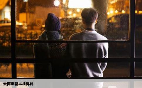 云南貔貅品質(zhì)詳評